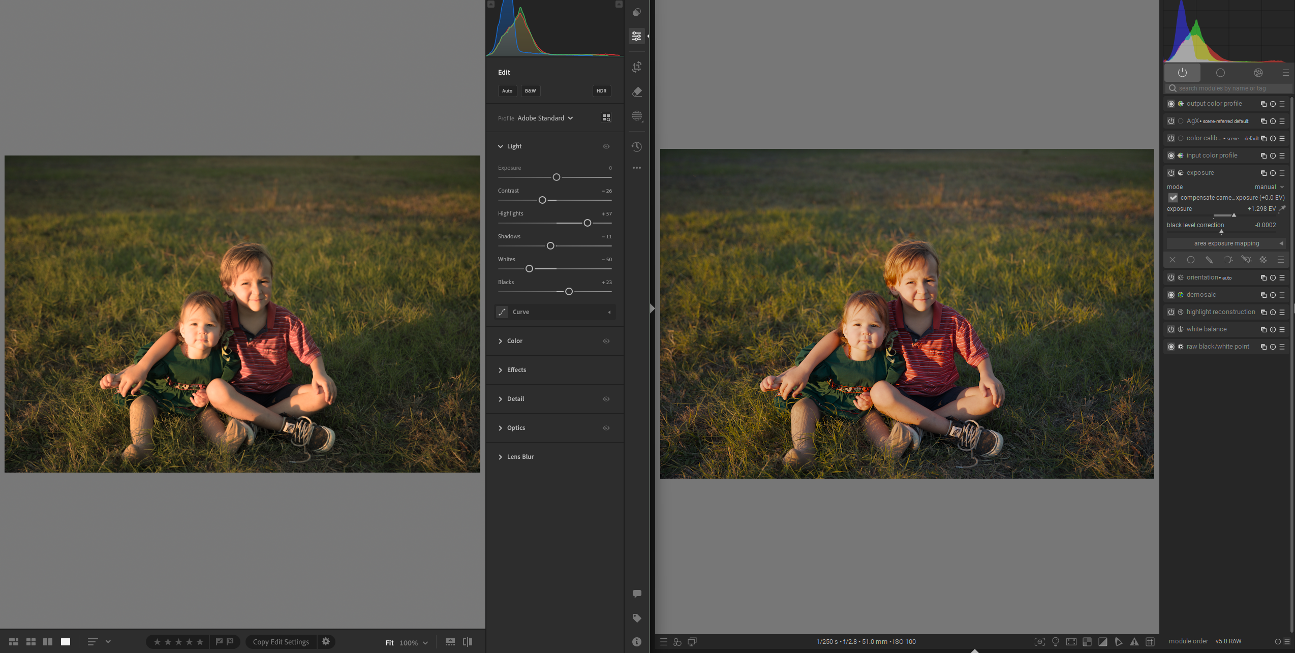 Interesting Differences in Darktable vs Lightroom - Page 2 - Processing ...