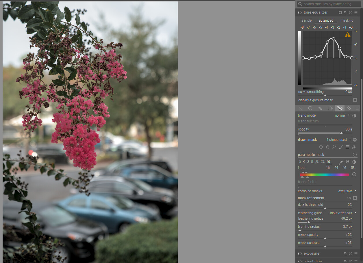 masking with darktable Play Raw discuss.pixls.us