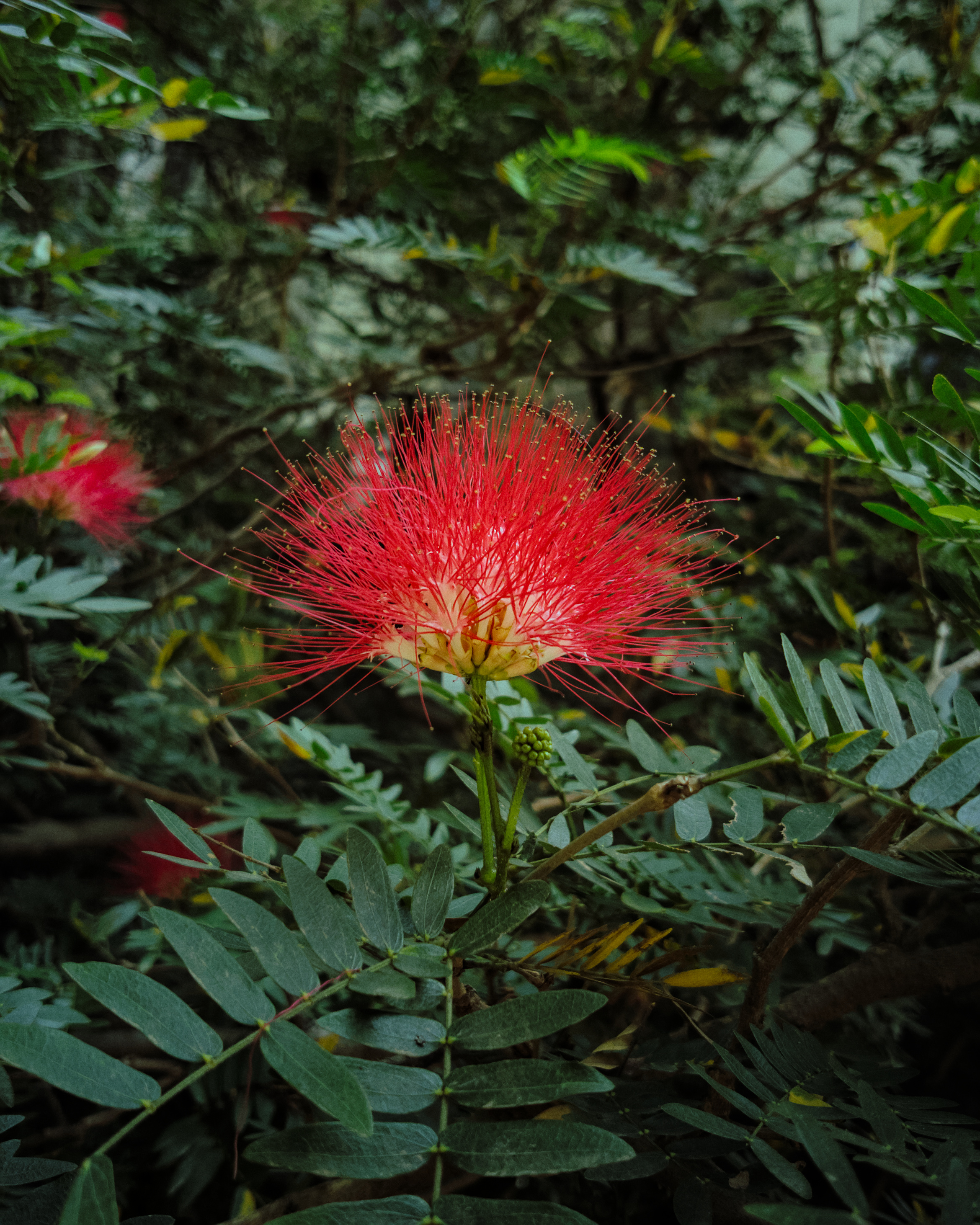 IMG_20210330_104125_01