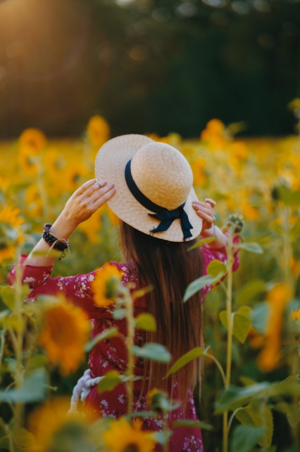 sunflowers_001_hanatos2025