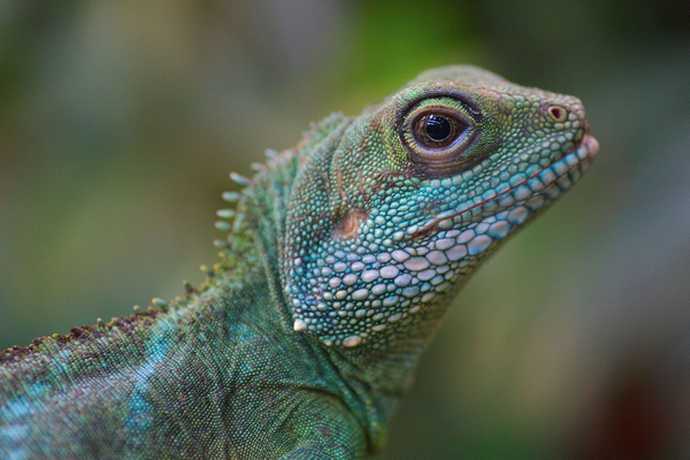 Q50_Small_then_Resize