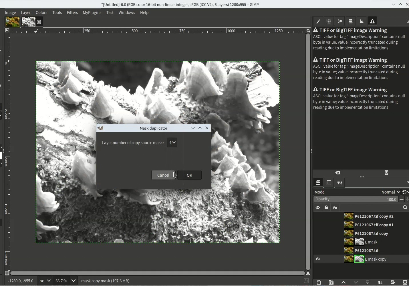 Python plug-in for GIMP3: Mask Duplicator - GIMP - discuss.pixls.us