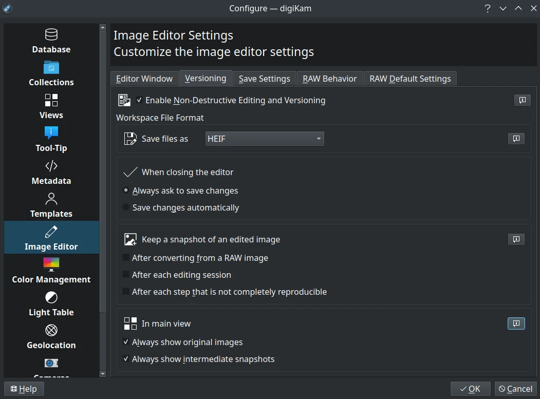 Image Editor Versioning