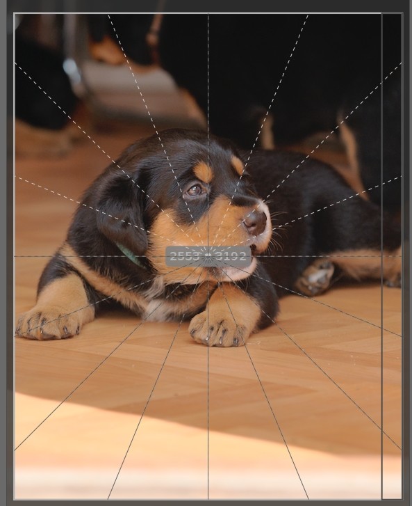pixel