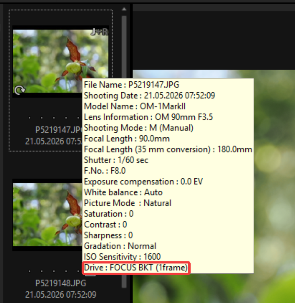 Beginner: EXIF Data different in Explorer and Darktable