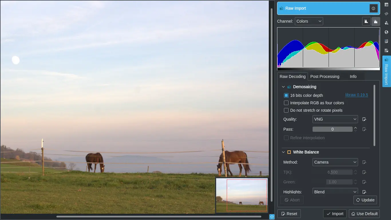 Image Editor Raw Import Tool