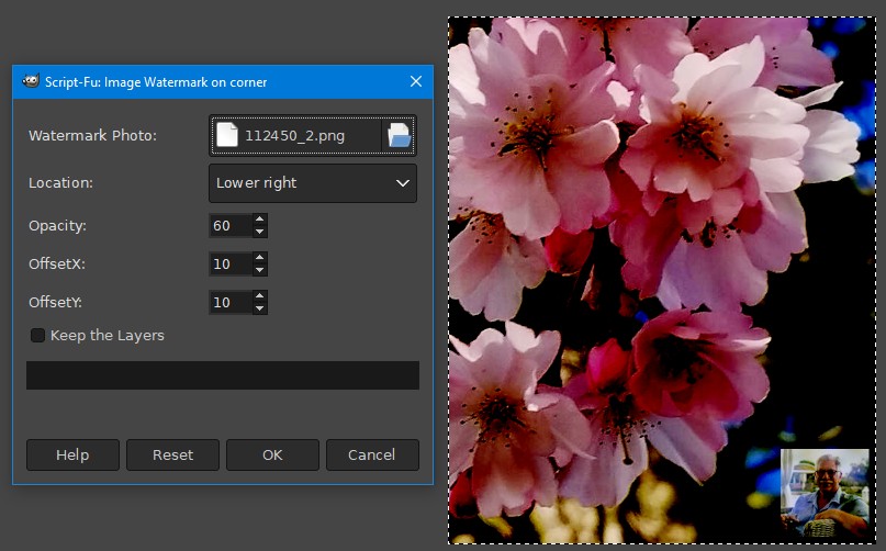 Adding A Logo To Photos
