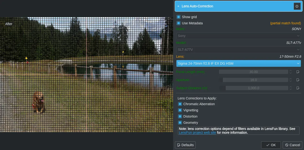 Lens Correction Plugin