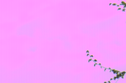 test2