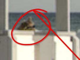 Screenshot_20231206_195843