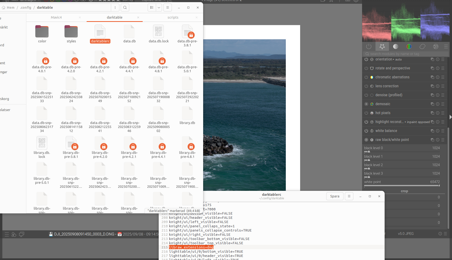 DJI DNG Files in Darktable - Processing - discuss.pixls.us