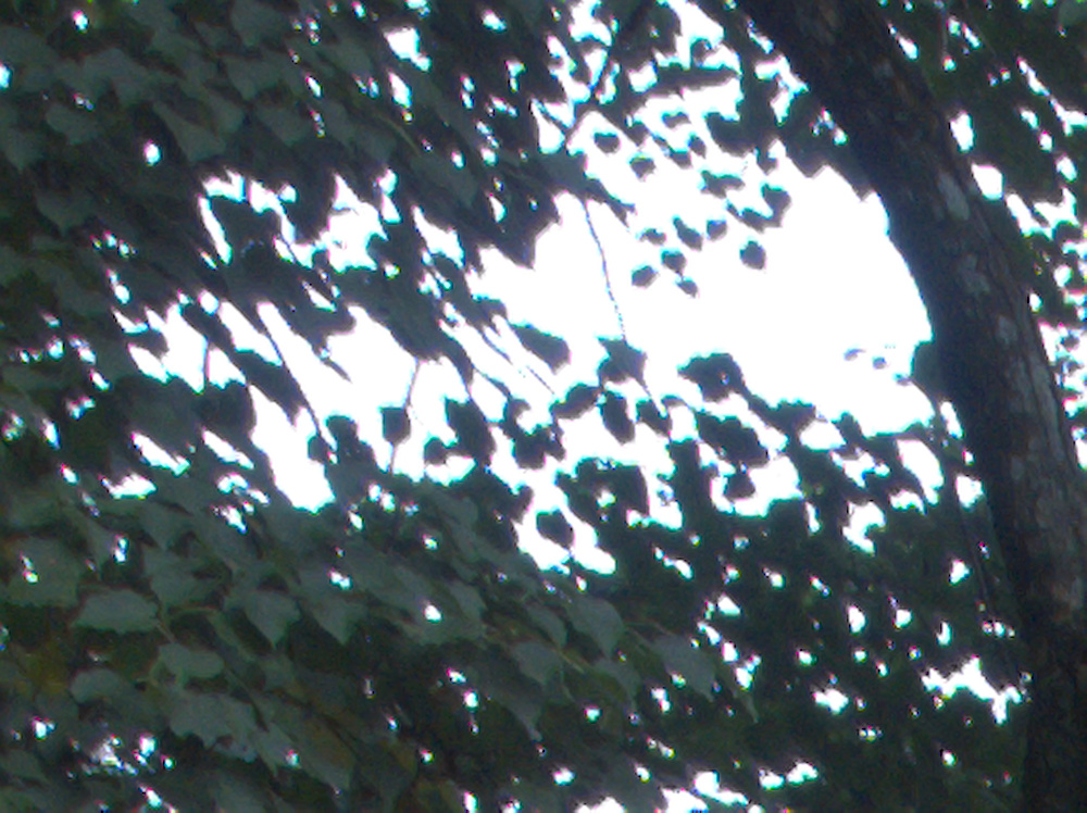 P9120141(1)_04