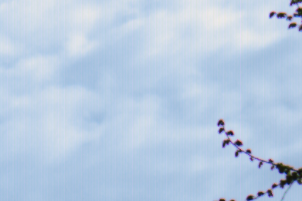 test4