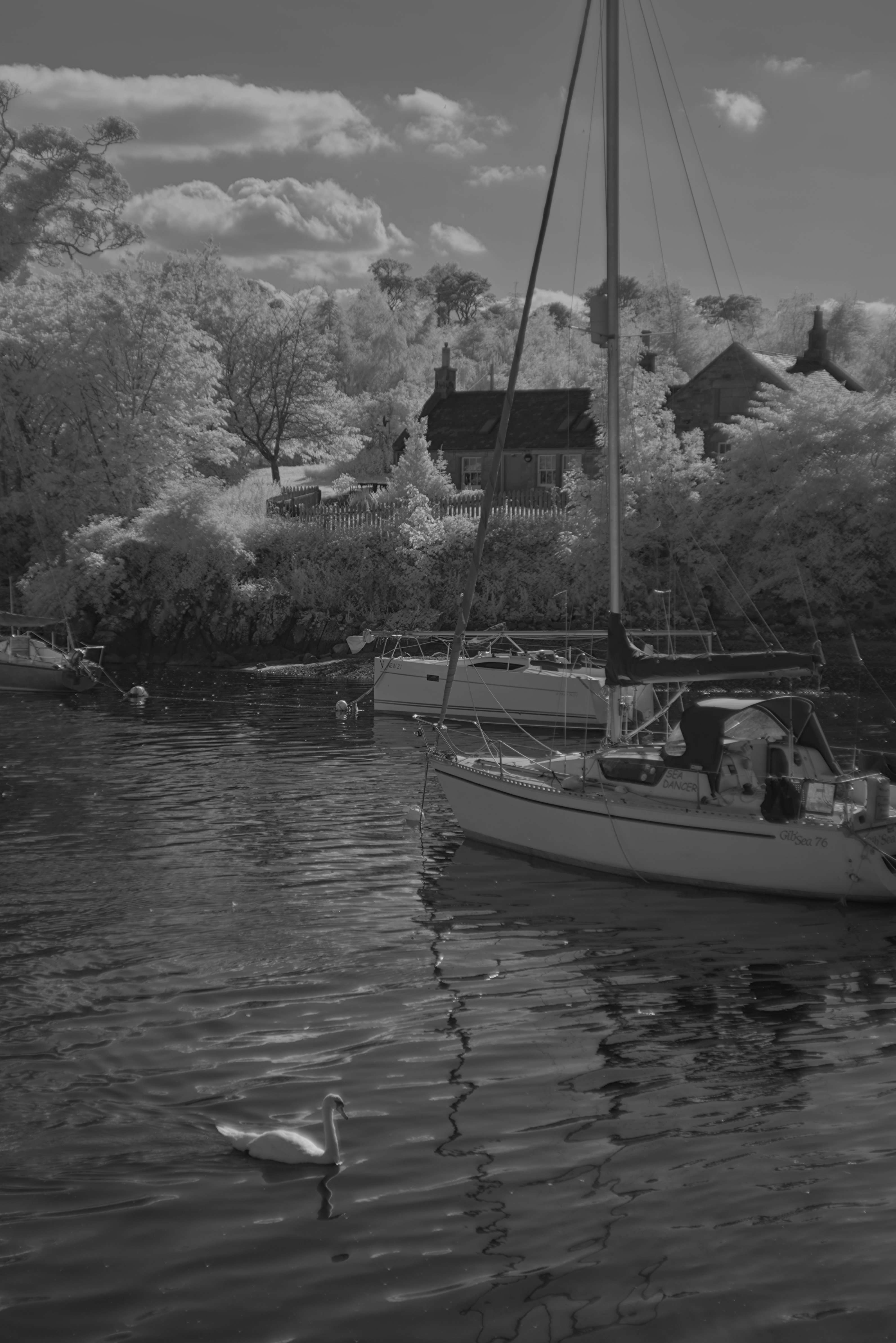 Using Color Calibration for B&W Infrared Contrast? darktable