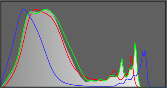 Filmulator-Histogram-Screenshot