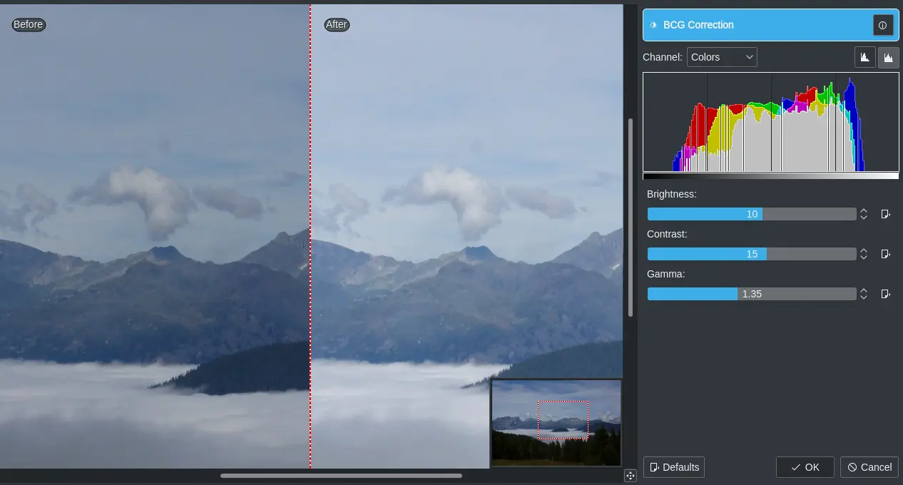 BCG Correction Plugin