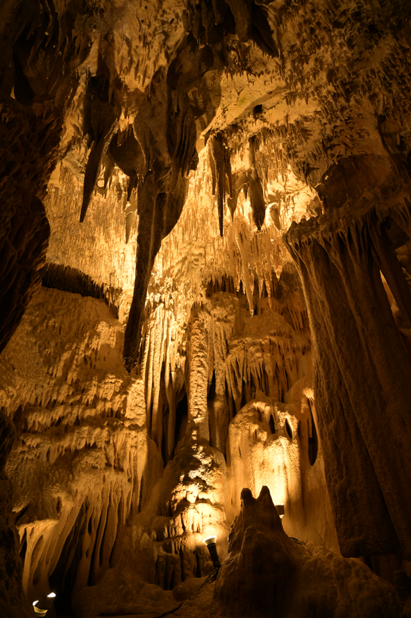 Capture 2025-11-13 12,46,34