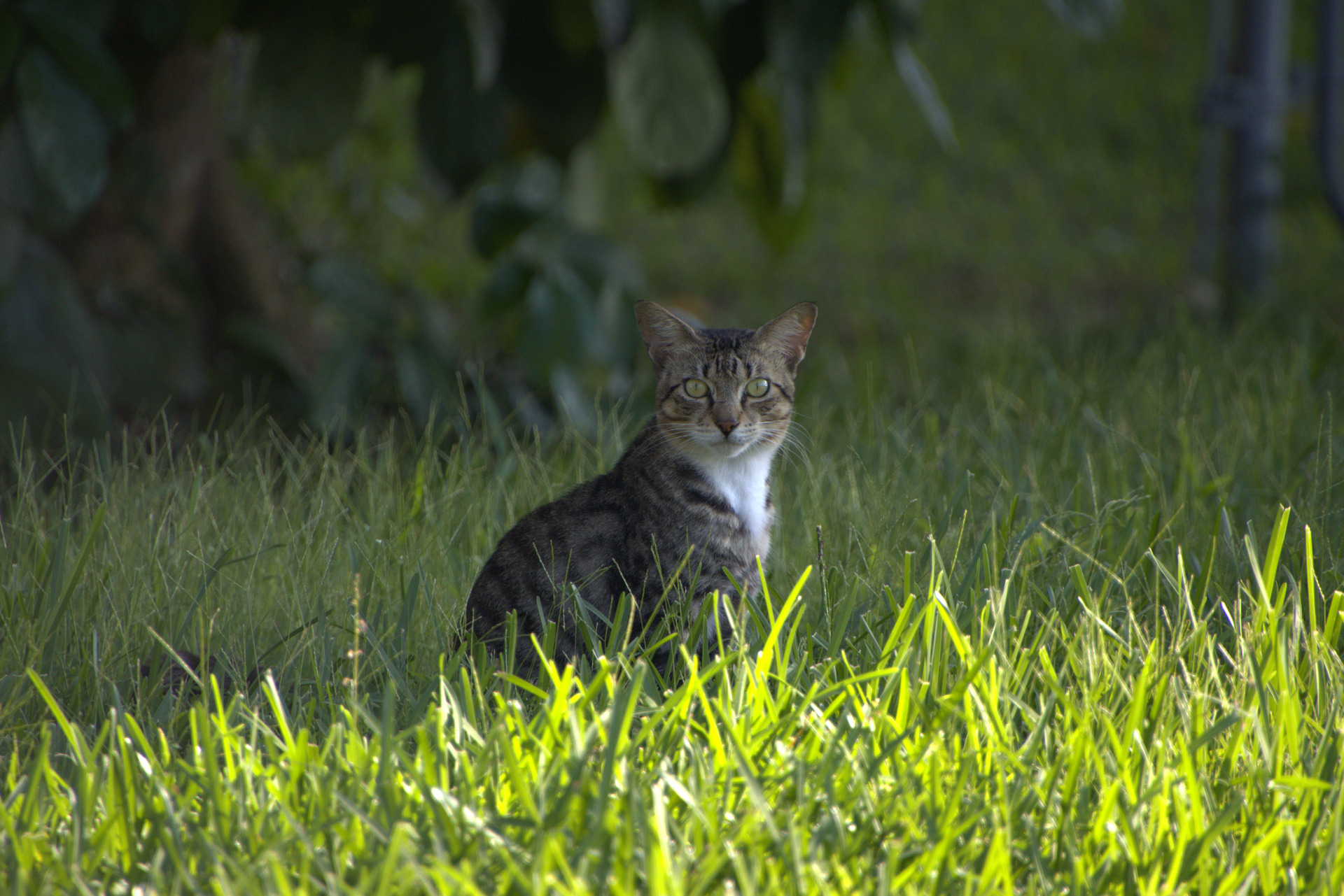 Which Modules Are Essential Darktable Discuss Pixls Us