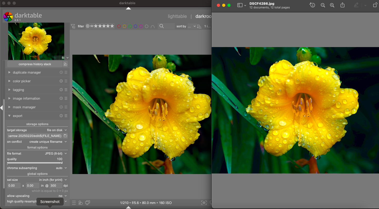 Colors wildly different on export when using haze - darktable - discuss ...