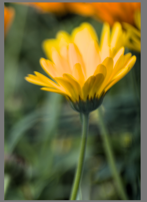 Screenshot from 2023-06-02 16-21-44