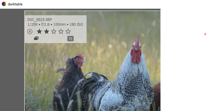 Screenshot 2022-11-29 194920