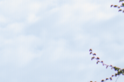 test3