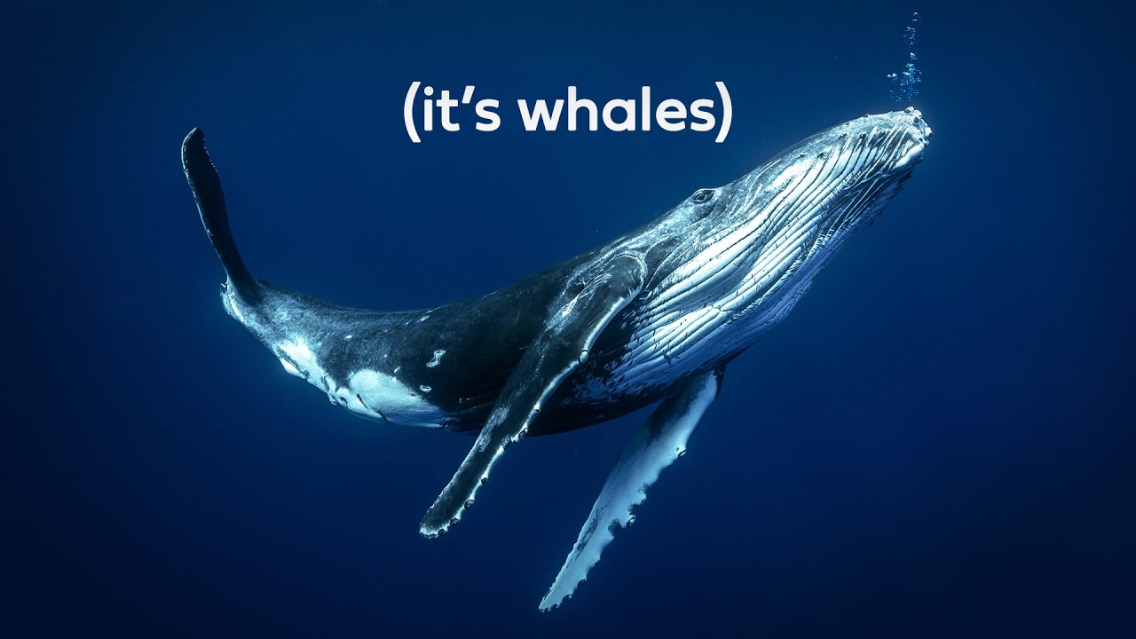 The future of climate denial